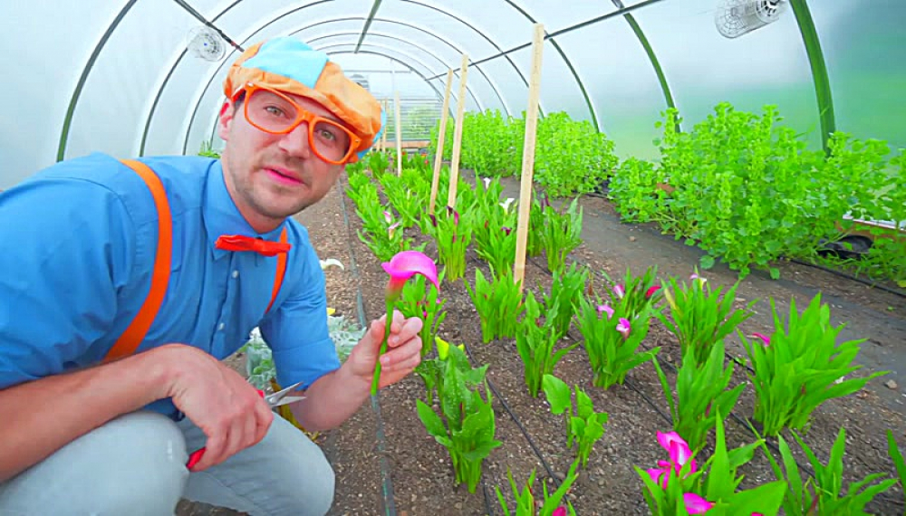 بلیپی - قسمت 3