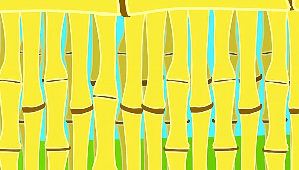 زبان انگلیسی با فرشته کوچولو - قسمت 263