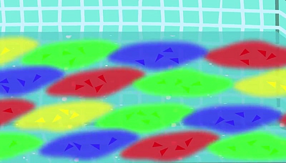 خانواده روباه مهربان - قسمت 217