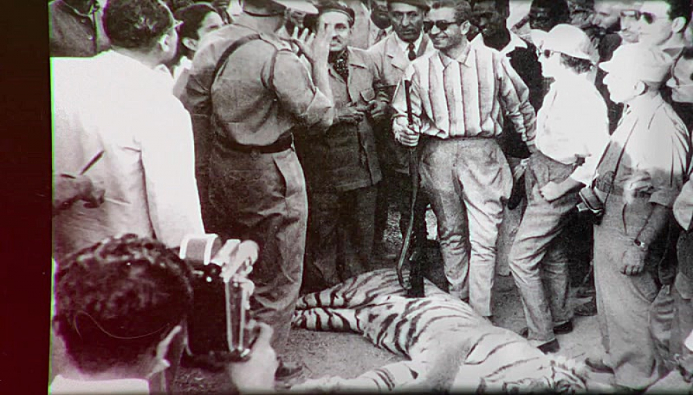 🎥 سریال در برابر طوفان دانلود و تماشای رایگان | فیلیمو