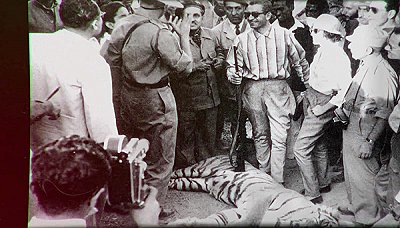 🎥 سریال در برابر طوفان دانلود و تماشای رایگان | فیلیمو