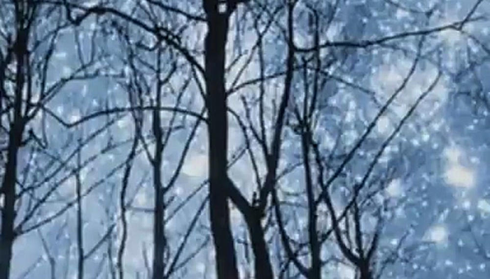 قطار دایناسورها - فصل 1 قسمت 16