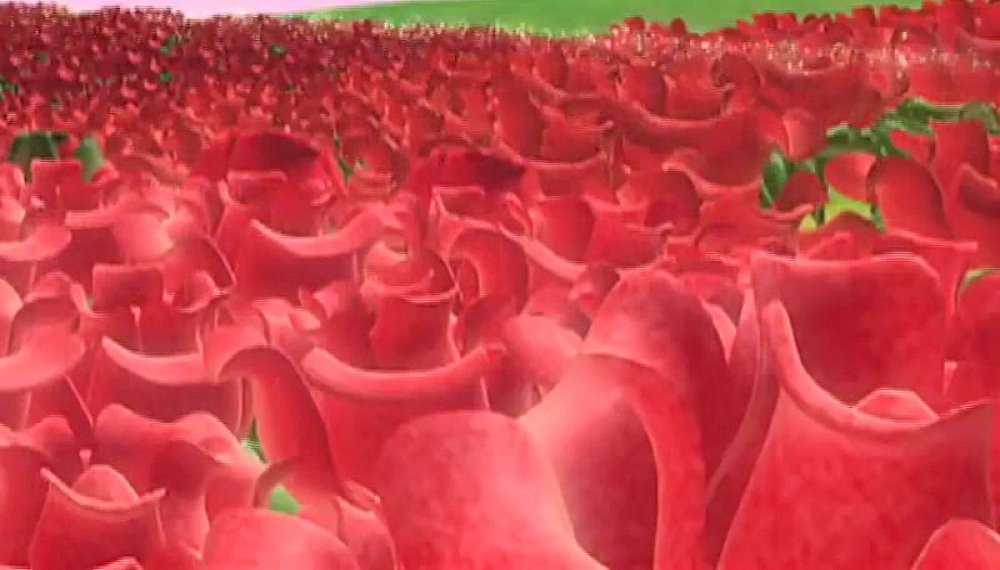 پورورو پنگوئن کوچولو - فصل 1 قسمت 33