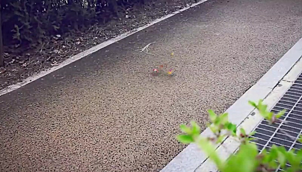 هیولاهای کوچولو - قسمت 9