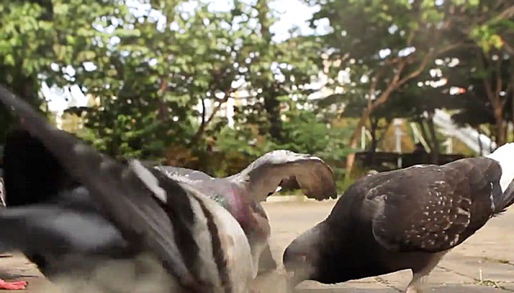 هیولاهای کوچولو - قسمت 13