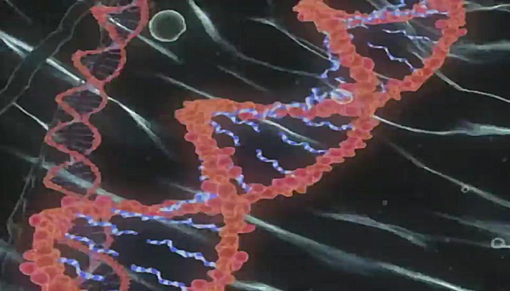 ناروتو - فصل 1 قسمت 17