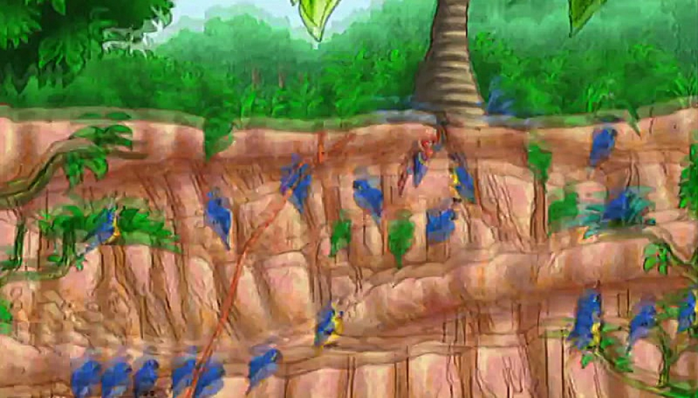 دیگو - قسمت 15