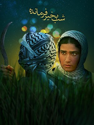 شب بخیر فرمانده