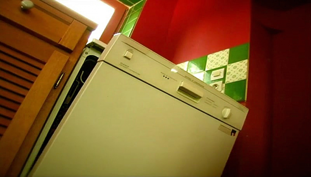 زندگی حشرات - فصل 1 قسمت 24