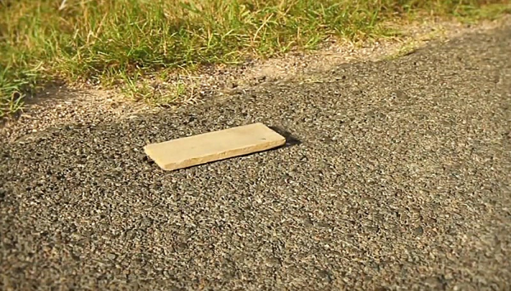 زندگی حشرات - فصل 1 قسمت 27