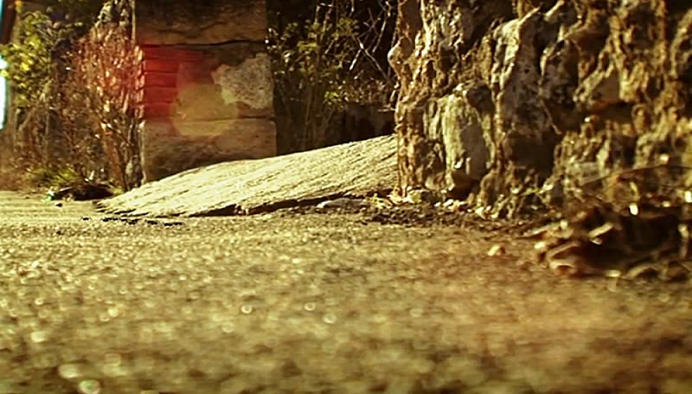 زندگی حشرات - فصل 1 قسمت 28