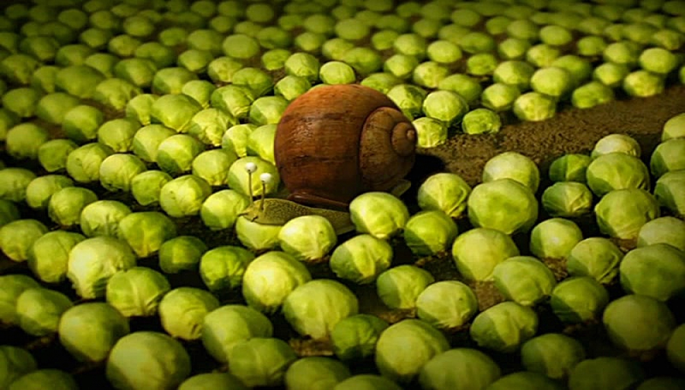 زندگی حشرات - فصل 1 قسمت 32