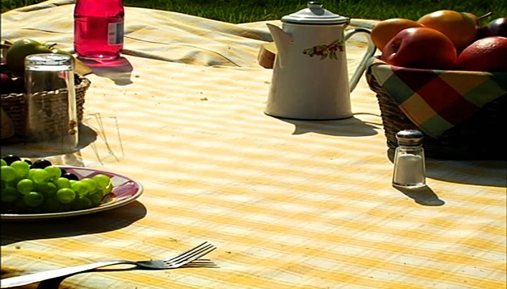 زندگی حشرات - فصل 1 قسمت 34