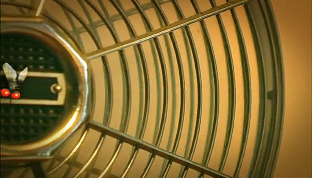 زندگی حشرات - فصل 1 قسمت 37