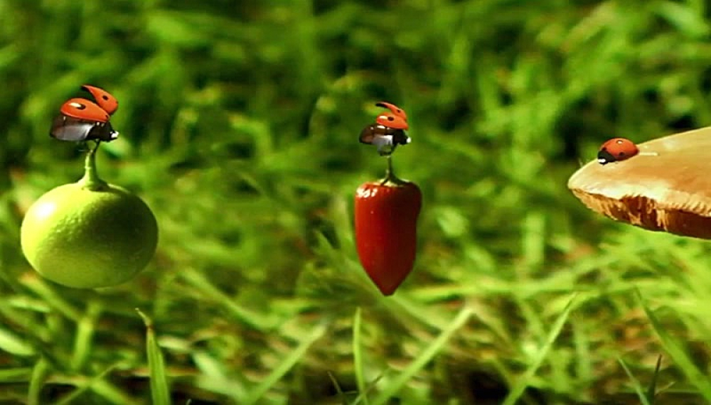 زندگی حشرات - فصل 1 قسمت 39