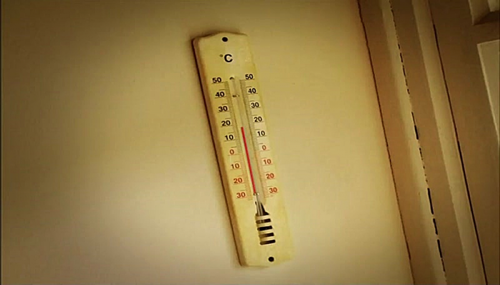 زندگی حشرات - فصل 1 قسمت 41