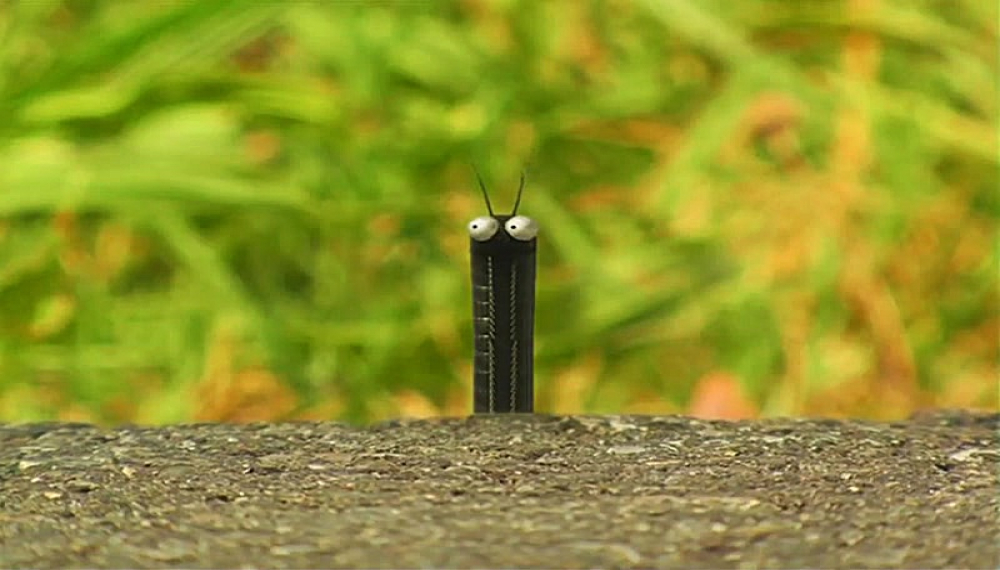 زندگی حشرات - فصل 1 قسمت 44