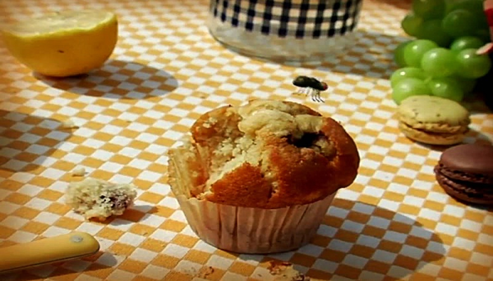 زندگی حشرات - فصل 1 قسمت 49