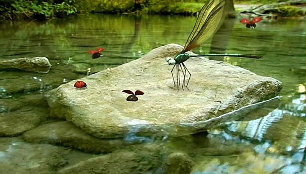 زندگی حشرات - فصل 1 قسمت 51