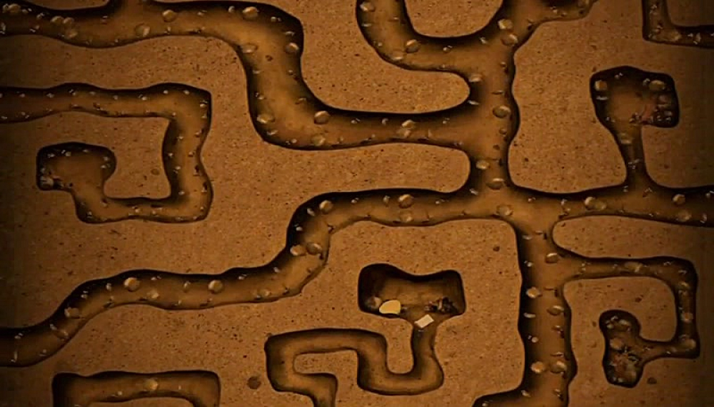 زندگی حشرات - فصل 1 قسمت 52