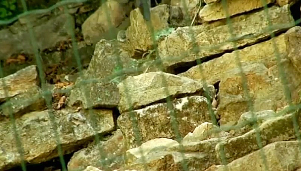 زندگی حشرات - فصل 1 قسمت 54