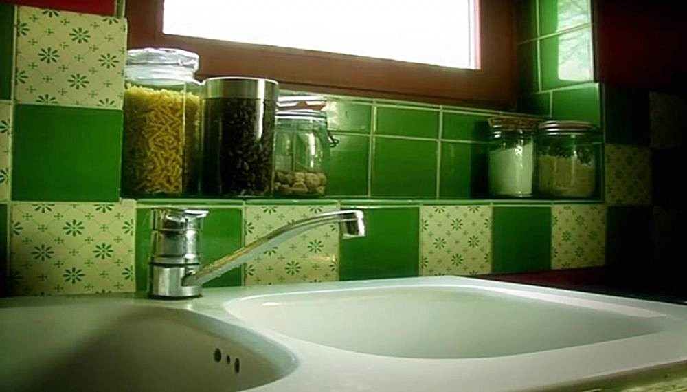 زندگی حشرات - فصل 1 قسمت 55