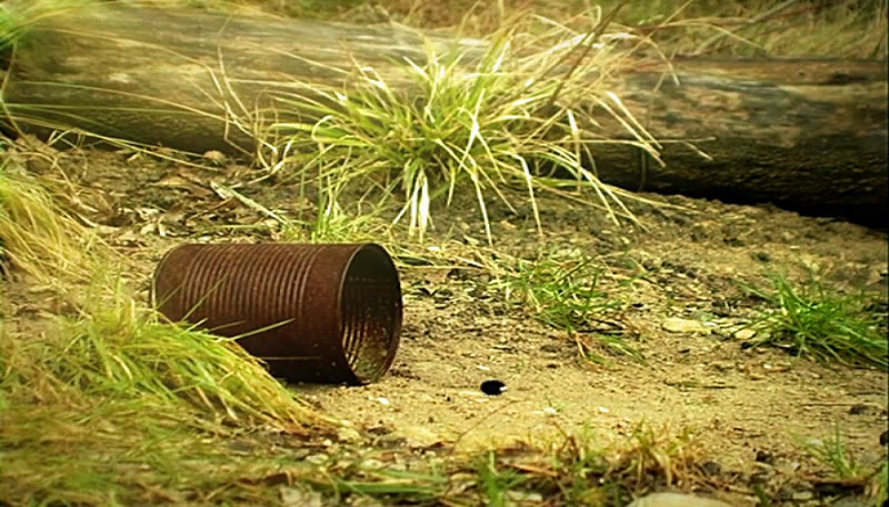 زندگی حشرات - فصل 1 قسمت 58