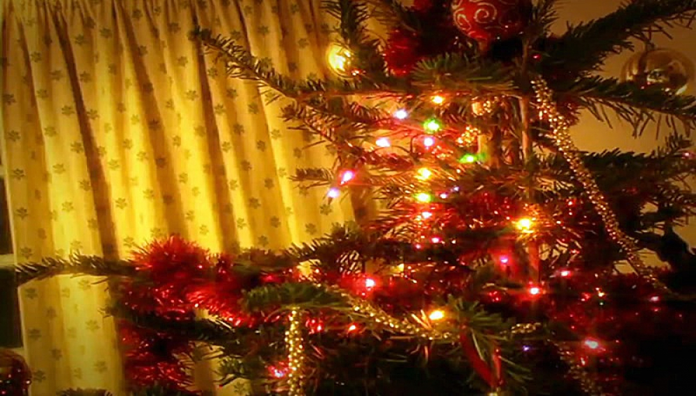 زندگی حشرات - فصل 1 قسمت 59