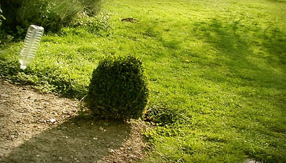 زندگی حشرات - فصل 1 قسمت 64