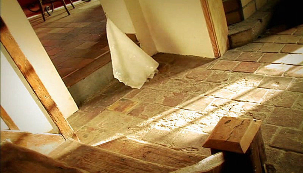 زندگی حشرات - فصل 1 قسمت 65