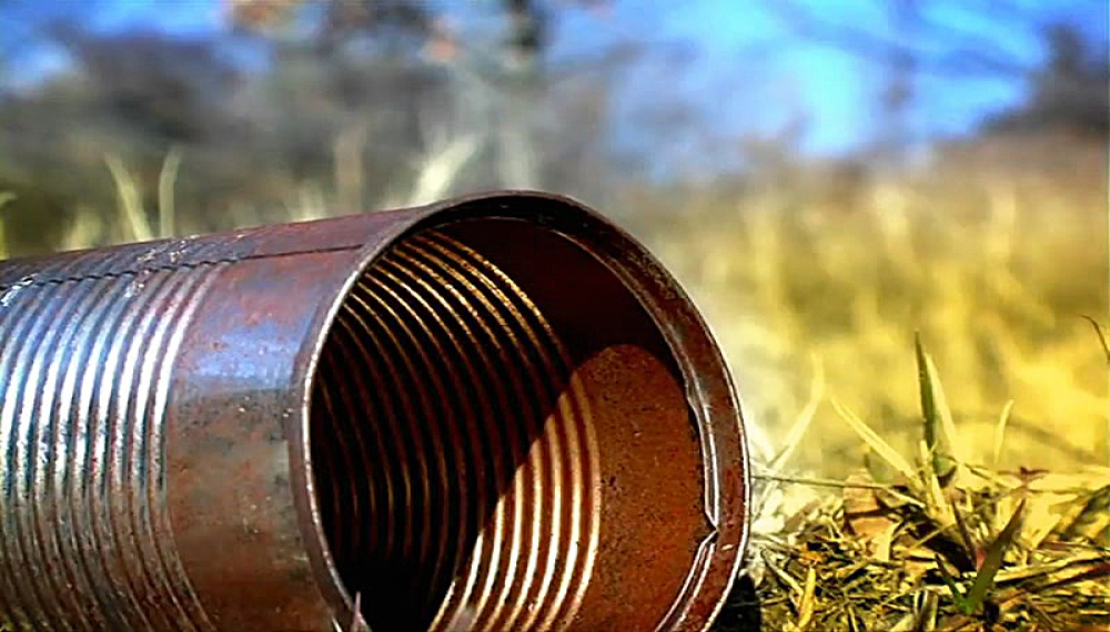 زندگی حشرات - فصل 1 قسمت 68