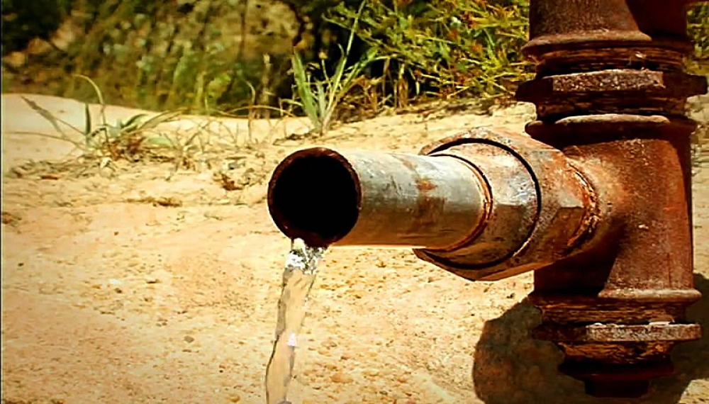 زندگی حشرات - فصل 1 قسمت 71