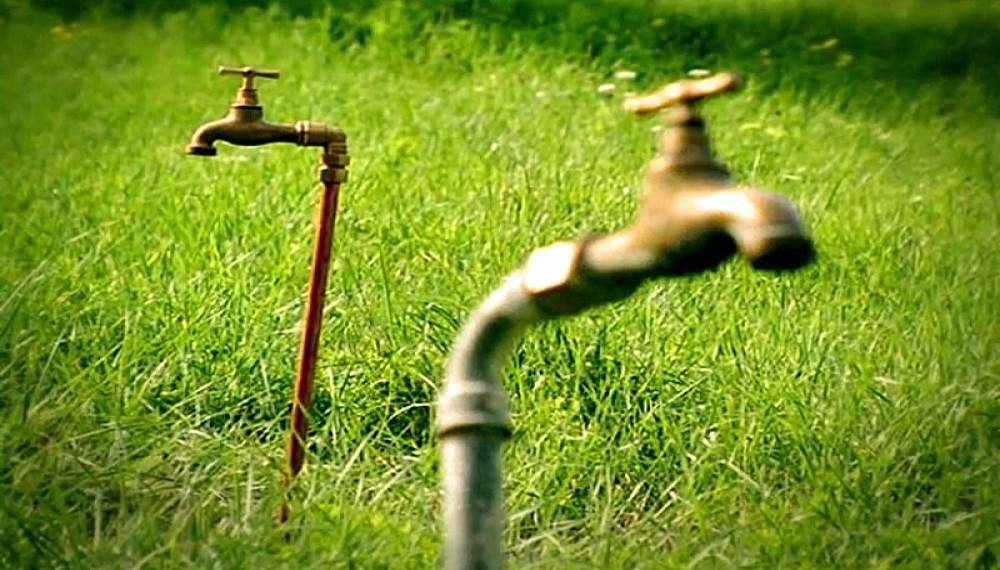 زندگی حشرات - فصل 1 قسمت 72