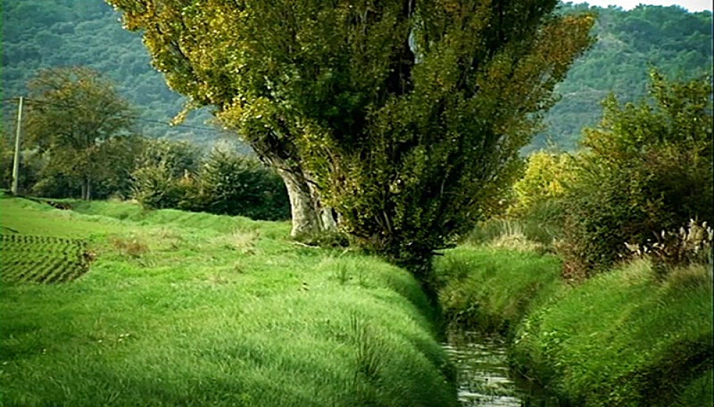 زندگی حشرات - فصل 1 قسمت 74