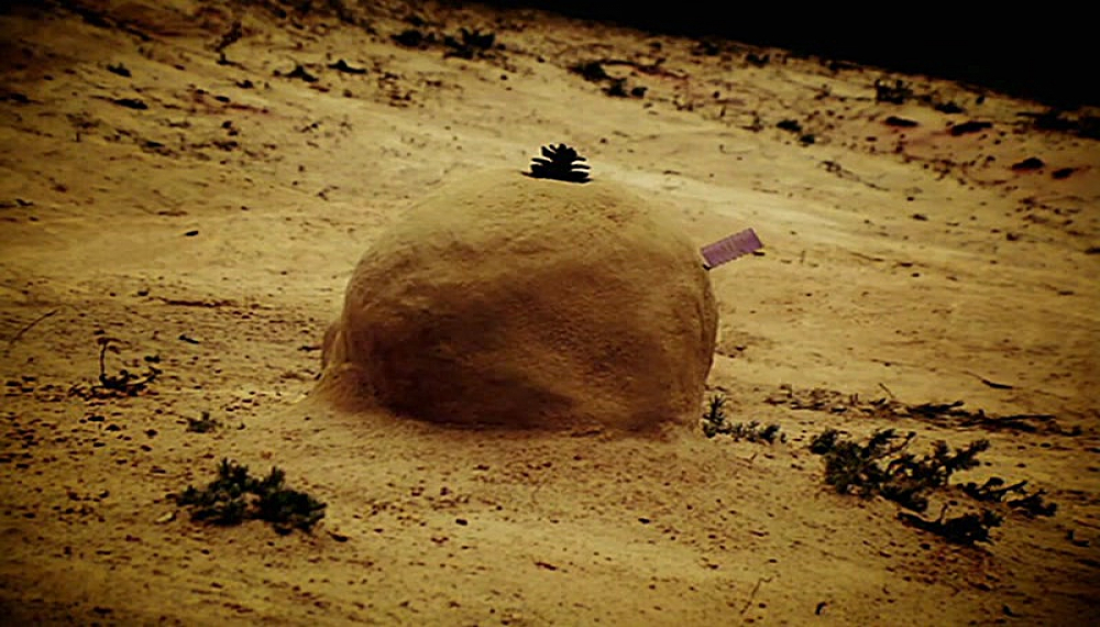 زندگی حشرات - فصل 1 قسمت 75