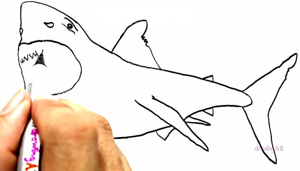 صفحات رنگ آمیزی تک شاخ - فصل 1 قسمت 75