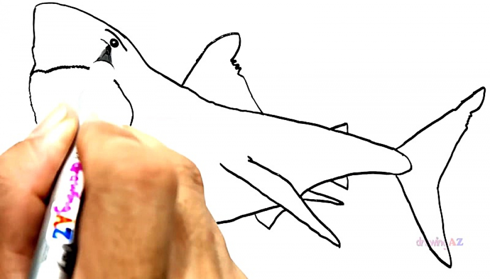 صفحات رنگ آمیزی تک شاخ - فصل 1 قسمت 82