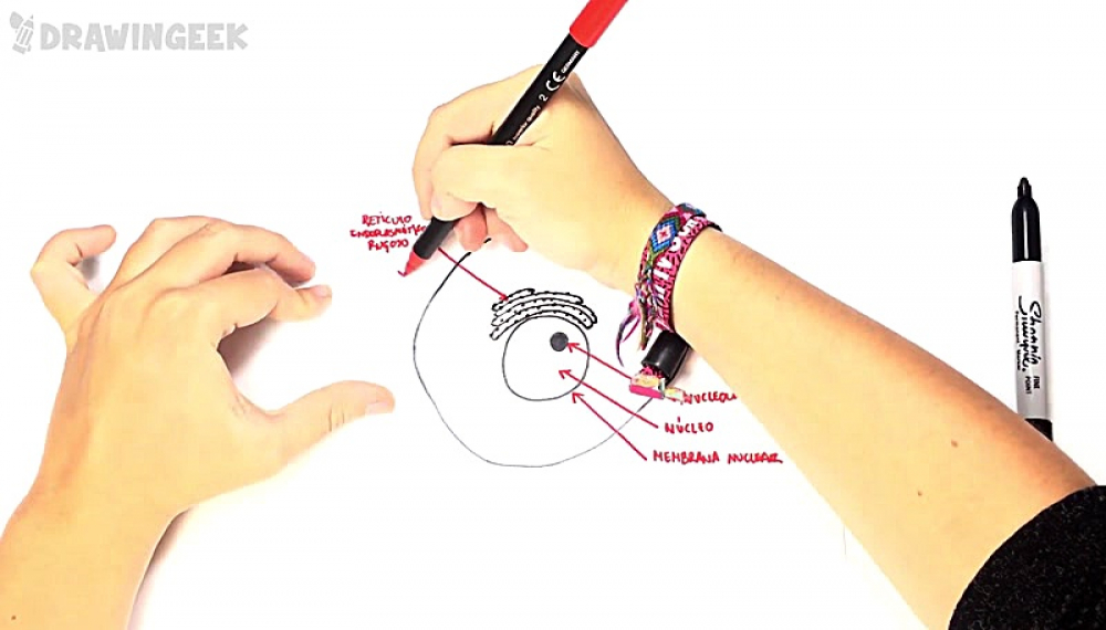 عاشق نقاشی - فصل 1 قسمت 24