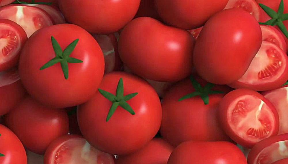 شین سرآشپز - فصل 1 قسمت 9