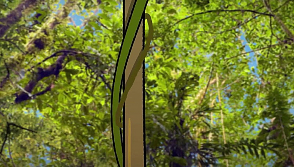 اولی و مون - فصل 1 قسمت 10