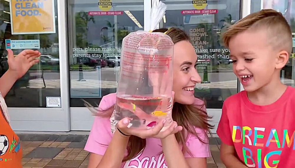 ولاد و نیکی - فصل 1 قسمت 61