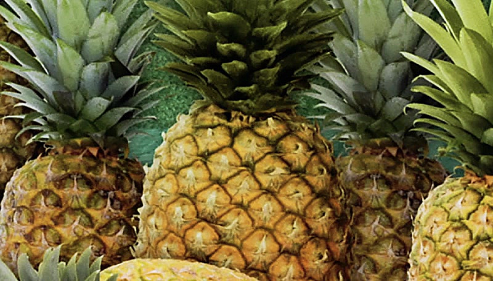 تیم اومی زومی - فصل 1 قسمت 5