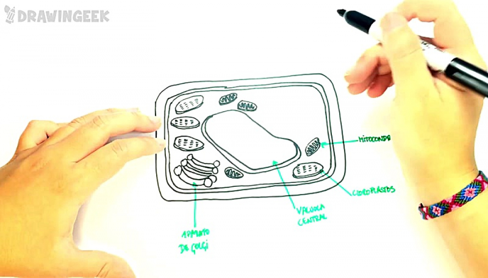 عاشق نقاشی - فصل 1 قسمت 389