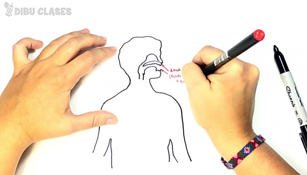 عاشق نقاشی - فصل 1 قسمت 497