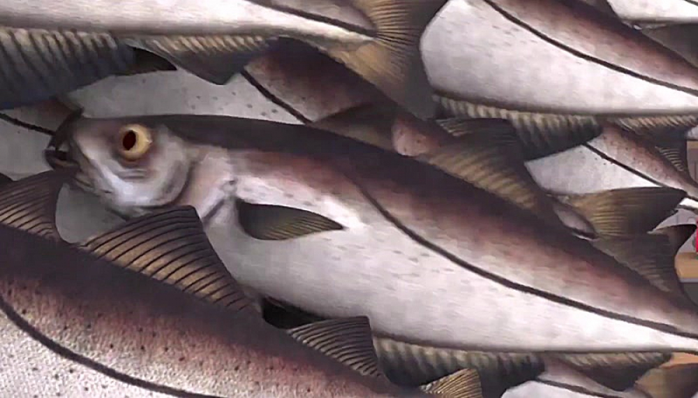 شین سرآشپز - فصل 1 قسمت 27