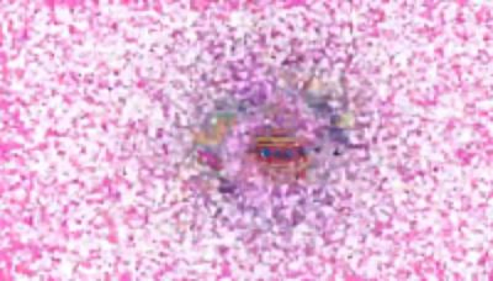 کهکشان خلاقیت - فصل 1 قسمت 13