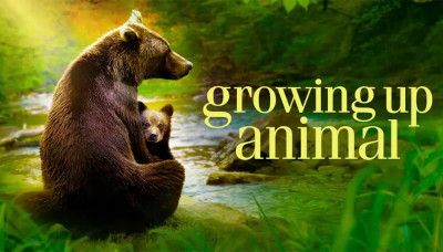 مستند رشد حیوانی Growing Up Animal قسمت 4 با زیرنویس چسبیده فارسی