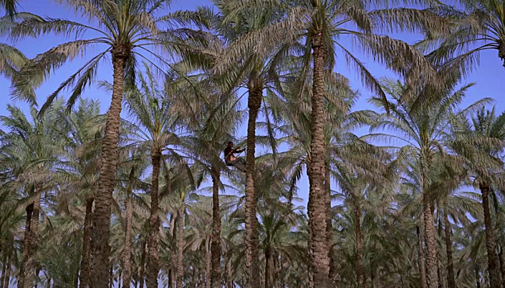 پا به ماه - فصل 1 قسمت 2: زهرا گلی