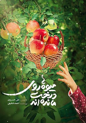 میوه ها روی درخت مانده اند