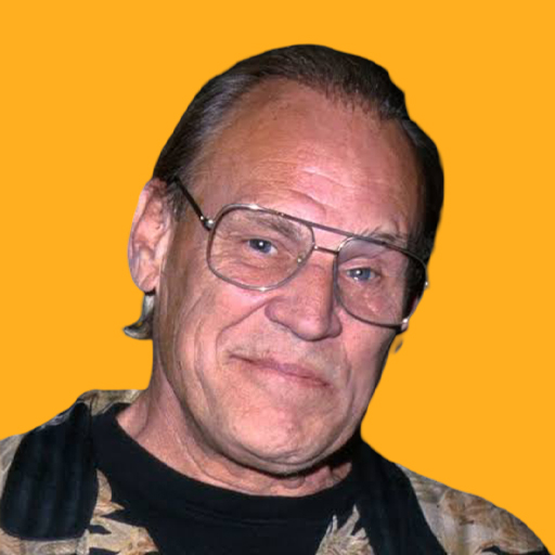 دان استراود - Don Stroud